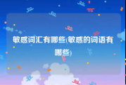 敏感词汇有哪些(敏感的词语有哪些)