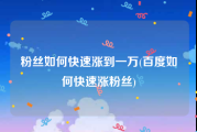 粉丝如何快速涨到一万(百度如何快速涨粉丝)