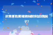 微博里的黄v和红v有什么区别
，为什么微博里有很多加V的骗子？