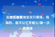 在淘宝买黄
，小弟想在淘宝买只黄缘，珠海的，能不让它冬眠么?第一次养黄缘
