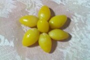 关于白果的制作方法视频的信息