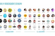 出名的短视频(出名的短视频团队)