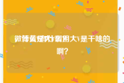 微博黄V有什么用
，什么是大V啊？大V是干啥的啊？