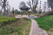 微博业务接单平台
，新开了一个软件开发公司，怎么样顺利的接单？