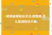 微博被黄粉丝关注(微博黄v怎么取消粉丝大咖)