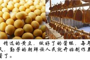 朝鲜族大酱制作视频(朝鲜族大酱制作视频大全)