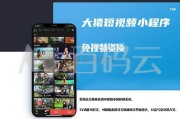短视频插件(视频软件插件)
