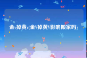 金v掉黄v(金V掉黄V影响搬家吗)