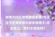 微博为什么突然被很多黄V号关注
，今天突然冒出很多微博大V攻击袁立，你们会相信吗？