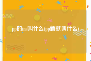 pp的ins叫什么(pp新歌叫什么)