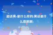 超话黄v是什么样的(黄话是什么意思啊)