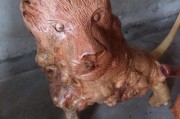 根艺制作视频(根艺制作视频教程全集)
