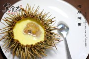 海胆做法视频(海胆做法视频播放)