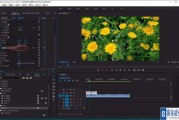 pr怎么做特效视频(pr制作特效视频教程)