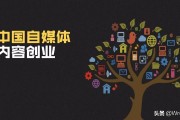 微博被黄粉丝关注
，为什么我的视频关注度和粉丝数上不去，如何解决？