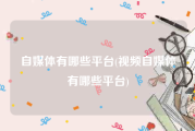 自媒体有哪些平台(视频自媒体有哪些平台)