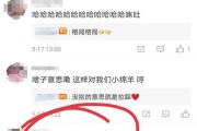 微博邮箱ck号(微博ck号什么意思)