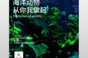 保护动物宣传视频(保护濒危动物宣传视频)