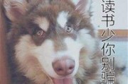 搞笑短视频15秒(搞笑短视频15秒在哪里下载)