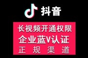 官方认证v标(什么是蓝V认证)
