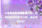 小红书小号白号批发
，有什么好看的耽美小说，经典的或虐的都可以啊，最近有点书荒？