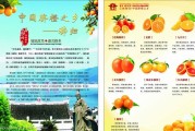 脐橙宣传视频(脐橙视频app)