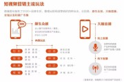 什么是视频营销(什么是视频营销组合中唯一与收益相关的因素)