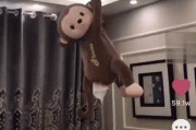 抖音视频如何做动态壁纸(抖音视频如何做动态壁纸下载)