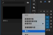 pr图片制作视频(pr图片制作视频效果)