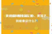 黄v和蓝v有什么区别
，民族风情街蓝、白、黄顶子到底象征什么？