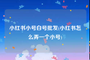小红书小号白号批发(小红书怎么弄一个小号)