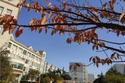 潍坊中新双语学校(潍坊中新双语学校学费)