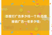 百度打广告多少钱一个月(百度推销广告一年多少钱)