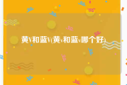 黄V和蓝V(黄v和蓝v哪个好)