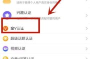 微博上的黄v怎么弄的(自己的微博怎么弄成黄v)