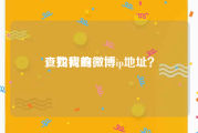 查找我的微博
，如何查微博ip地址？