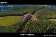 塞罕坝宣传视频(塞罕坝广告视频完整版)