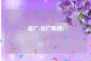 省广(省广集团)