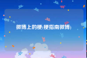 微博上的梗(梗指南微博)