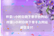 梓豪24小时自助下单平台网站(梓豪24小时自助下单平台网站微信支付)