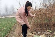 包含边摸边吃奶边做的视频的词条