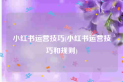 小红书运营技巧(小红书运营技巧和规则)
