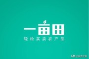 微博24小时自助下单平台
，现在哪个平台的电商适合个人开店？