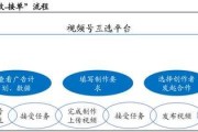 视频号网络营销(视频号网络营销方案)