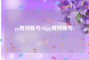 pp推特账号(bkpp推特账号)