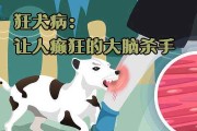 狂犬病宣传视频(狂犬病的视频做的视频)