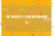 黄v审核多久(合肥黄码审核多久)