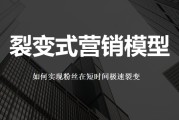 营销技巧和营销方法视频(营销技巧和营销方法视频讲解)