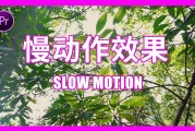 视频慢镜头如何制作(视频怎样制作成慢镜头)