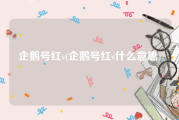 企鹅号红v(企鹅号红v什么意思)
